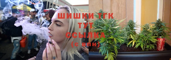 PSILOCYBIN Лиски