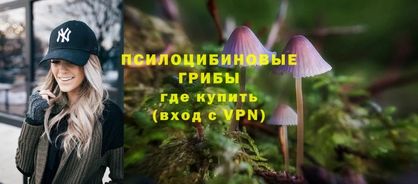 мет Липки