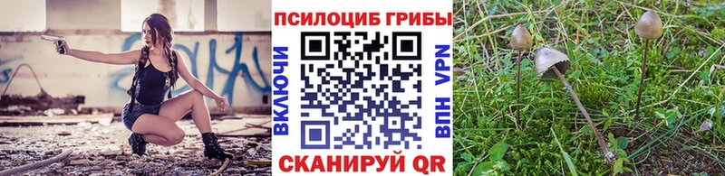 Купить где  Нововоронеж  Псилоцибиновые грибы прущие грибы 